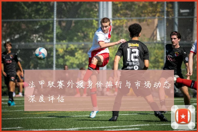 法甲联赛外援身价排行与市场动态深度评估