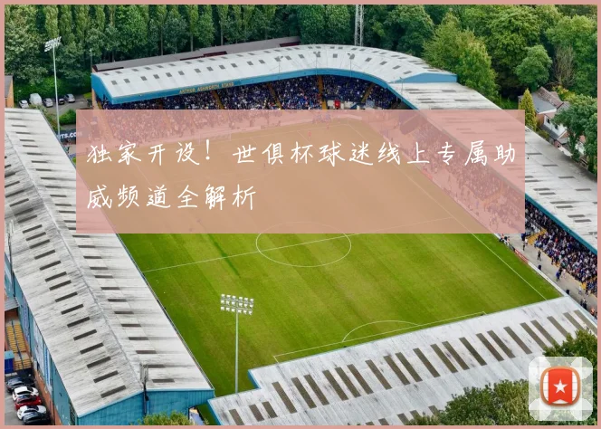 独家开设！世俱杯球迷线上专属助威频道全解析