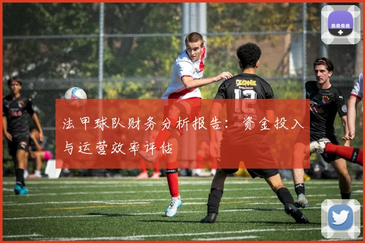 法甲球队财务分析报告：资金投入与运营效率评估